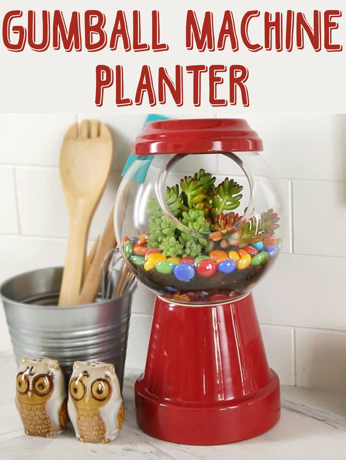 Brighten Up Your Home With This Adorable Gumball Machine Planter