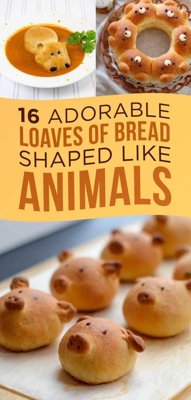 16 Adorable Animal Shaped Bread Recipes For Kids These edible cuties actually turned me into a cat person.