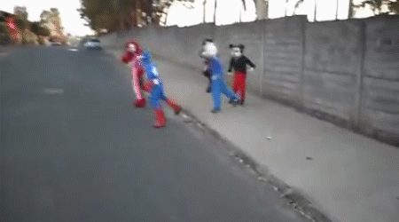 Perfeito para rodeios.