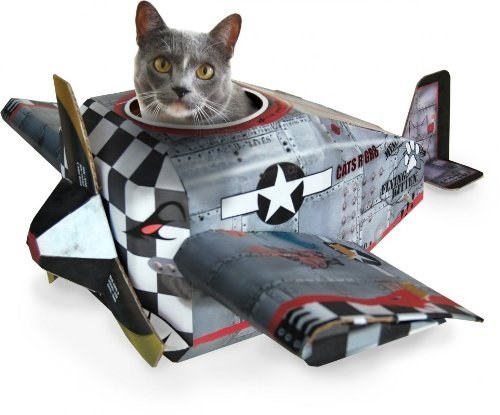 Pilot kitty Enhanced-1756-1460149930-1