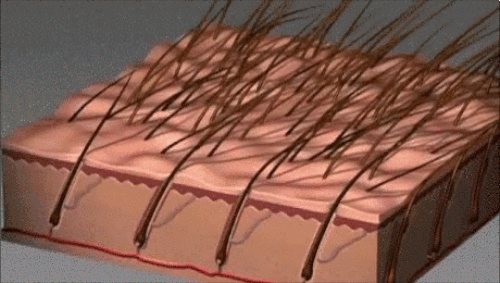 anigif_enhanced-6792-1460218588-2.gif