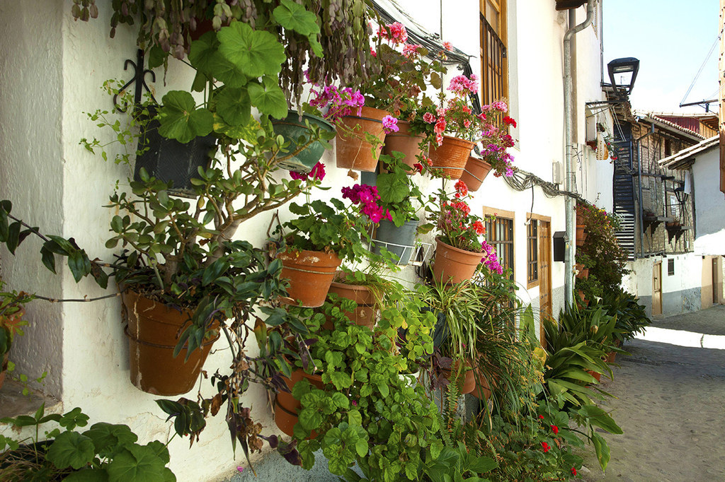 Estrechos callejones –cuenta con la calle más angosta de España, de medio metro de ancho– y años de historia hebrea en sus calles. Así es el barrio judío de Hervás, nombrado por la Guía Repsol como el Mejor Rincón de Extremadura en 2013.