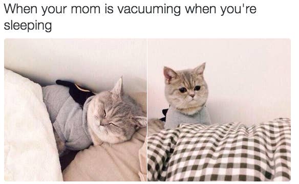 22 Pictures That Show The Difference Between Living With Parents And ...