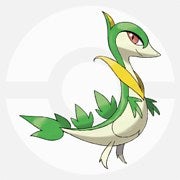 投票 11月には最新作発売 歴代御三家ポケモンで一番好きなのはどれ