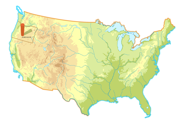 Can You Actually Locate The States?