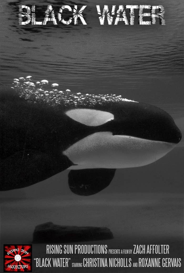 blackfish movie poster