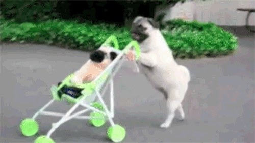 "The purchase of our jogging stroller was the best thing we could have done. My 7-month-old has been literally attached to my hip since birth (he doesn't sleep in a crib, he sleeps on top of me). Pretty much every day, I take him outside and we go for a walk, jog, or rollerblade. And the hubs and I can go up to the local high school track and do sprints together. Oh, and the occasional glass of wine." —tffnyfearn
