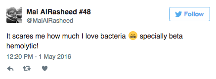 Bacteria