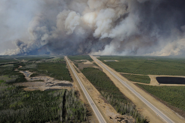 A Fort McMurray Evacuee’s Cat Was Taken Care By An Airline And It Was Adorable Enhanced-buzz-7894-1463391724-7