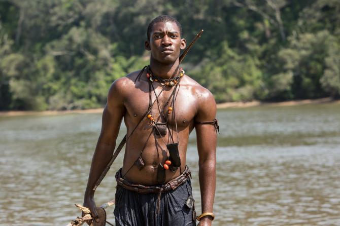 Roots Series on BuzzFeed