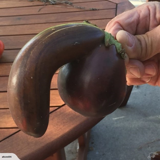 This Is Your Chance To Own The Real Life Eggplant Emoji