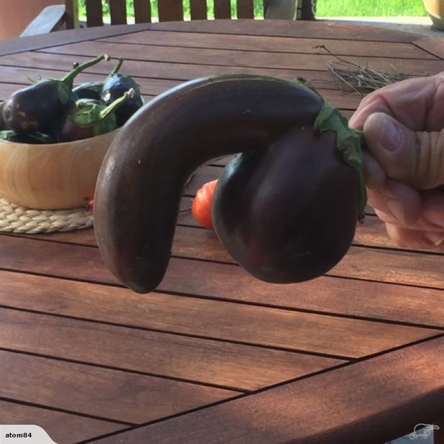 This Is Your Chance To Own The Real Life Eggplant Emoji