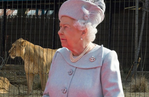 23 Pictures That Prove The Queen Is The Most Relatable Monarch