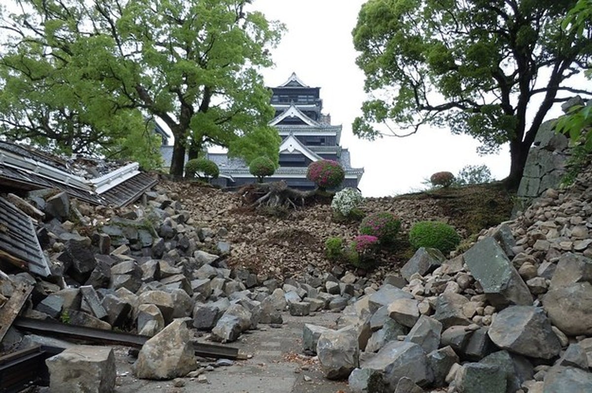 恩返しKumamoto Karano 平たい Ongaeshi ①