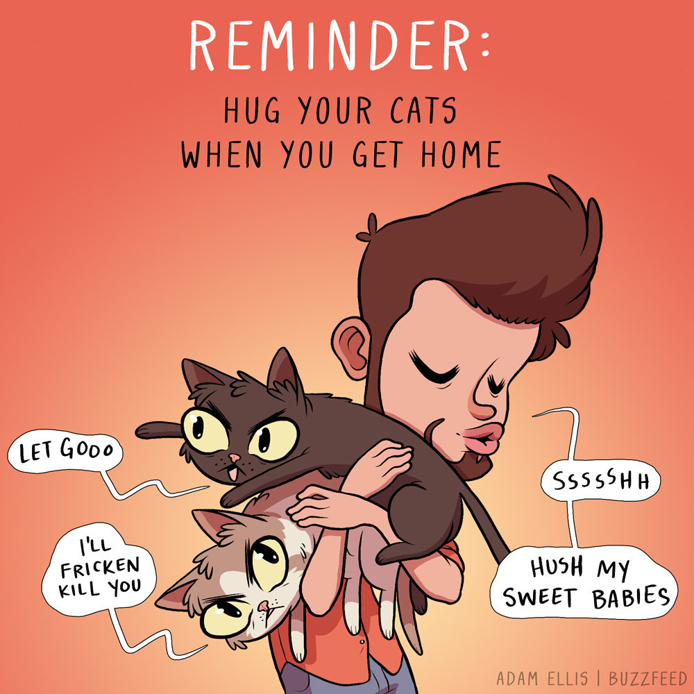 Pet Me  Cats don't know what they want From Adam Ellis (https