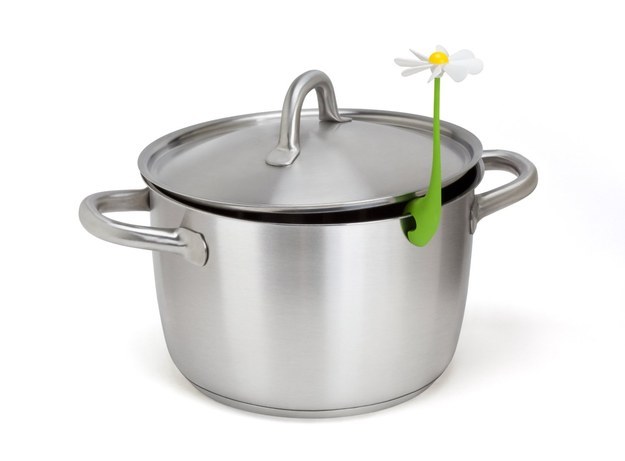 A daisy that sprouts off the rim of a pot (to let steam vent).