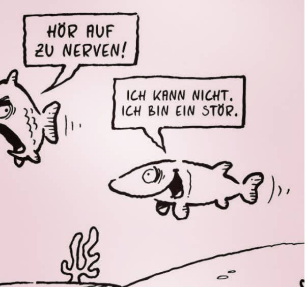 29 Flachwitze Die Definitiv Besser Sind Als Jeder Gag Von Mario Barth