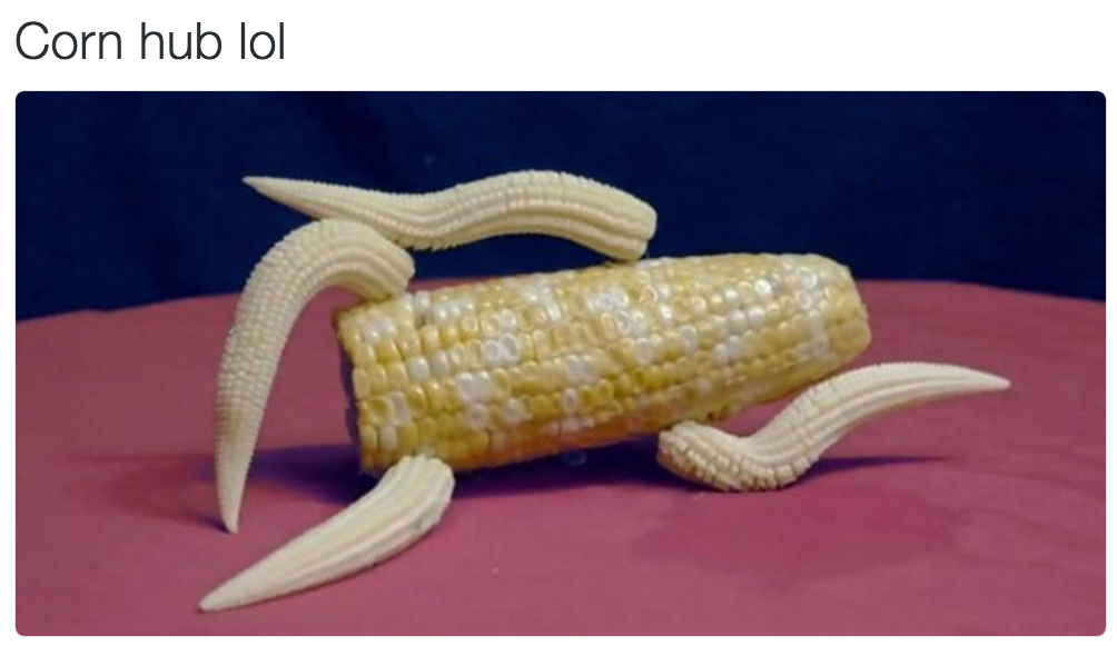 22 Reasons We Were All Born To Corn