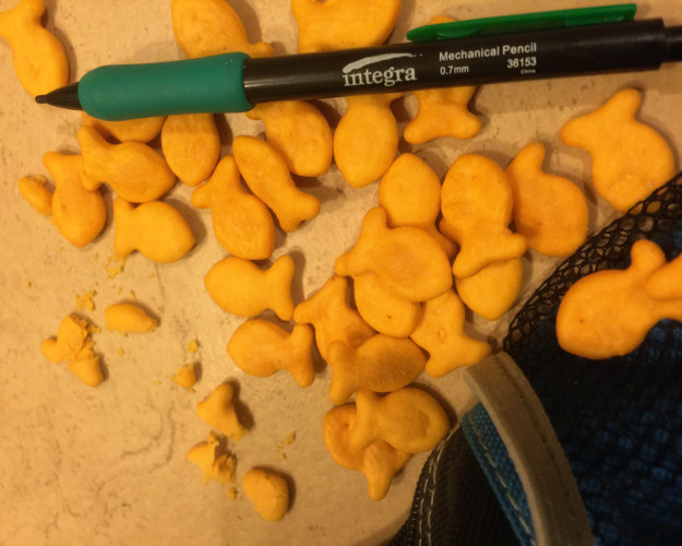 And there’s a hundred more in the bottom of your purse.
