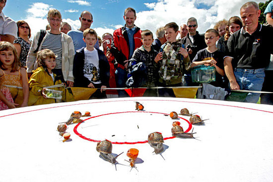 The World Snail Racing Championships, which is held in Norfolk every year, is attended by hundreds of people. I'm guessing that last years race is just finishing now, right?