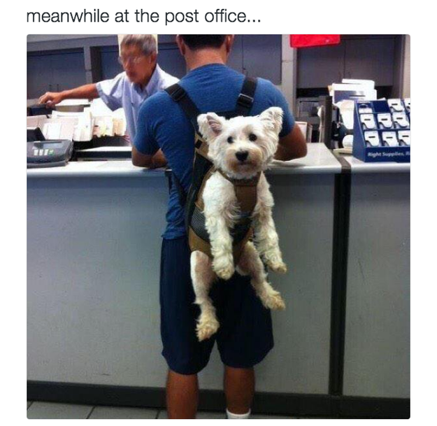 LOL, meanwhile at the post office... Sub-buzz-15793-1464115441-5