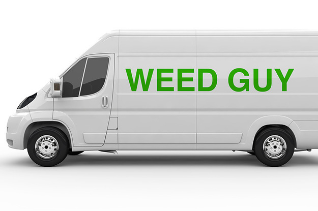 licensed-producers-medical-pot-delivery-canada-2-17918-1464213383-1_dblbig.jpg