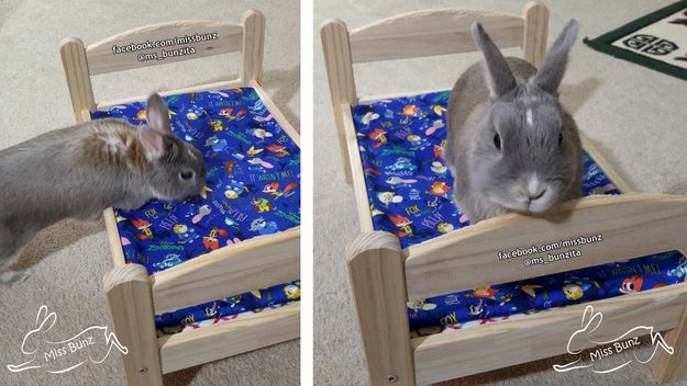 私は ズートピア が公開される4年前から警察官だった