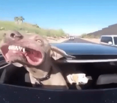 "OMG, yaaass!"