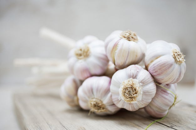 Garlic