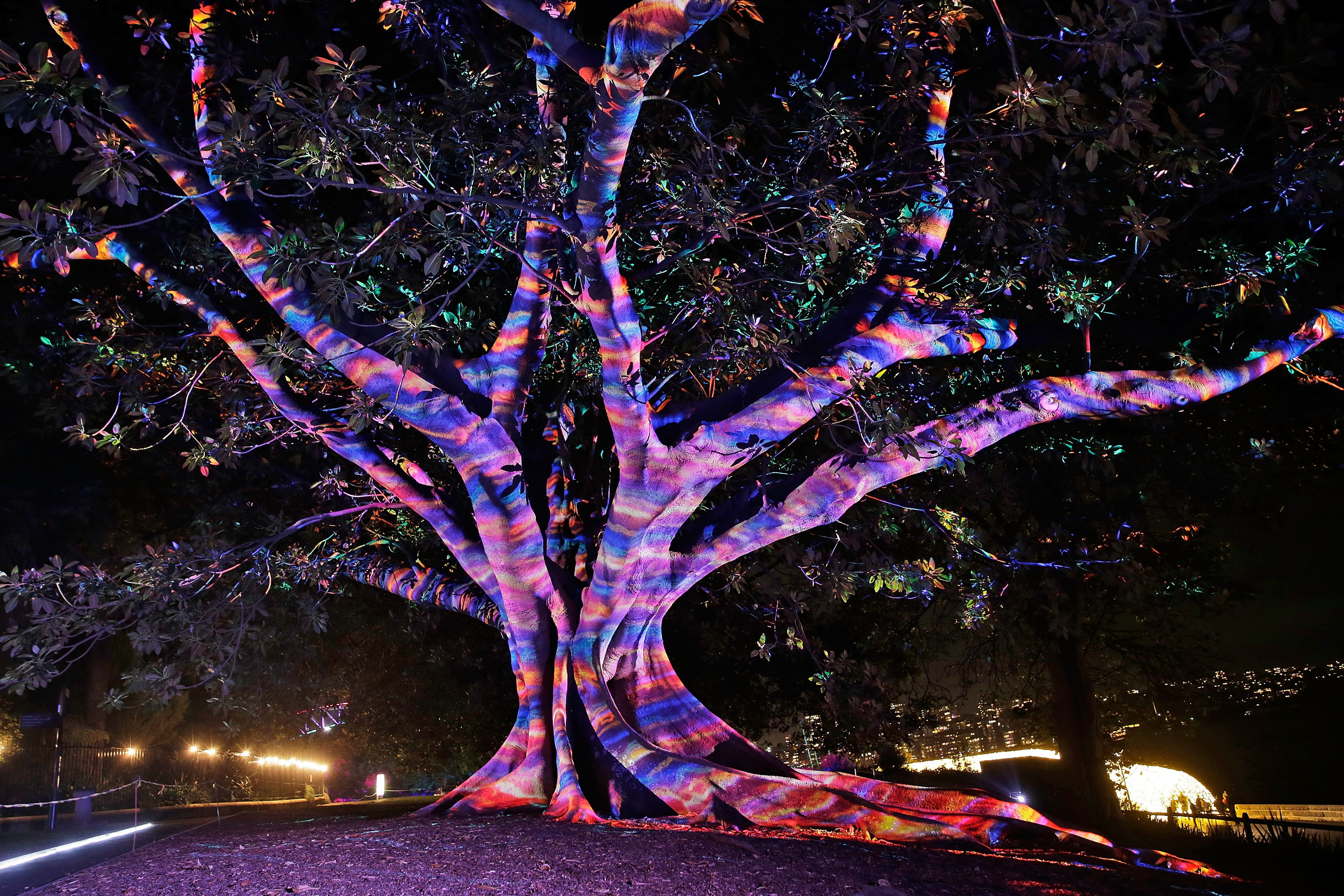 Light tree