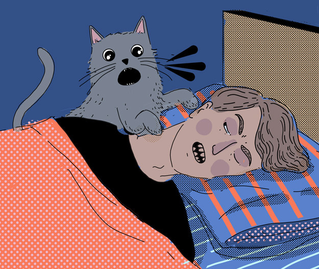 11 Things Your Cat Is Desperately Trying To Tell You