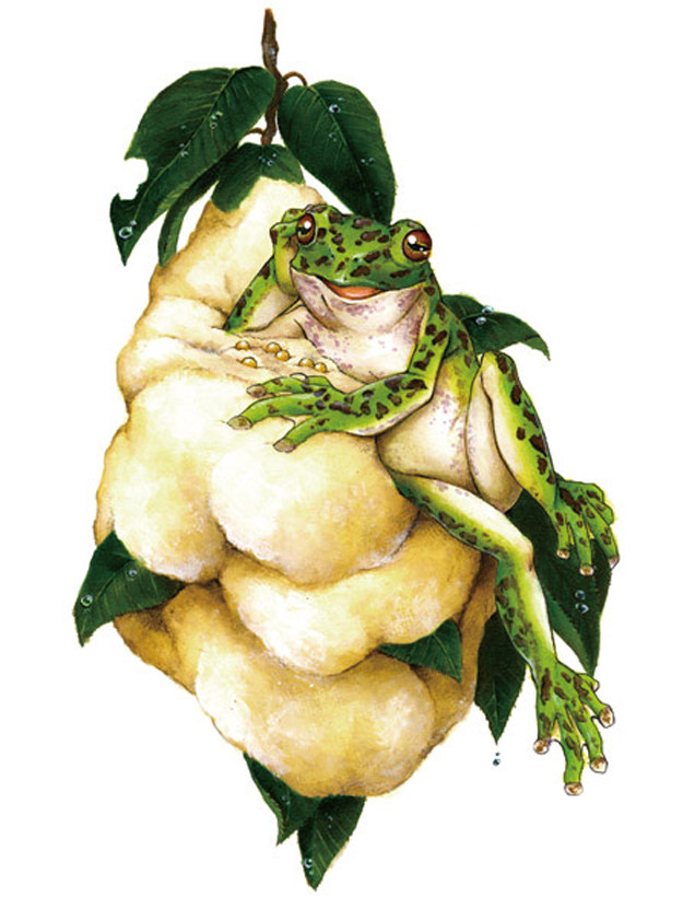 b8a47b97f112e08b8f56e475b02a7b