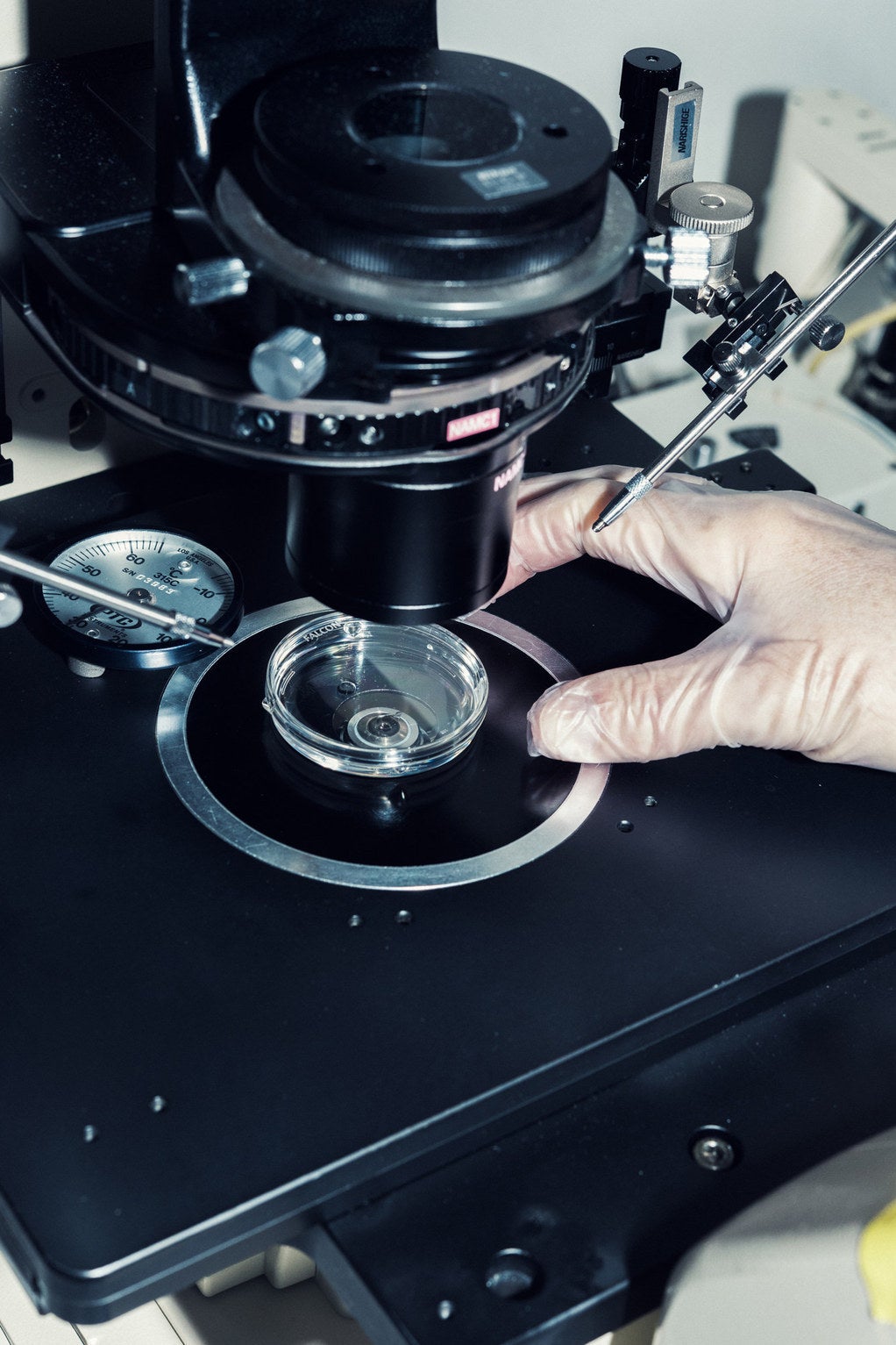 A Petri dish containing sperm cells at the IVF lab at New York University’s Langone Fertility Center.