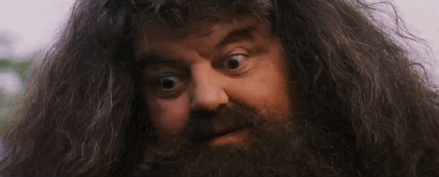 Rubeus Hagrid