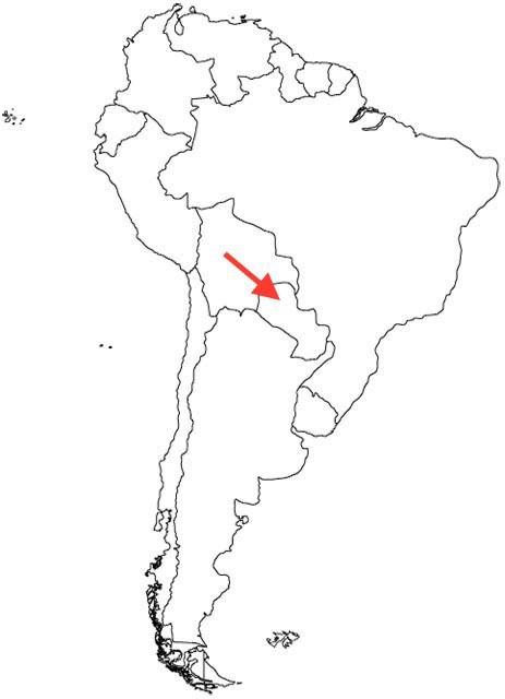 Puedes pasar este quiz de geografía básica de Suramérica?