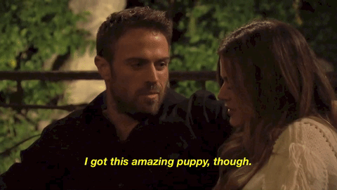 Listen. If you can behave the way Chad did this week and still get a rose, you are more powerful than Malia Obama. Chad gallumphs around like a giant HGH monster, terrorizing the wee townsfolk (Alex, mostly) and carrying Princess Jojo off into the night. I don't even really have that much to say about Chad because he says it all himself. He talks about how he's finally ready for marriage because he's saved up enough money (??? Is he buying a mail-order bride? Does he know that women can have jobs now?); he talks about how if you blended up (!) all the guys in the house into a protein shake (!!!) it would "have, like, no flavor;" he refuses to participate in the James Taylor Oliver! The Musical Boy's Chorus Sing Along™. I will say that he was unfairly criticized for eating several large plates of meat at the cocktail party. Dude looks like a walking kebab, it should surprise no one that he needs to constantly re-meat. Anyway! Chad calls Jojo naggy, criticizes everyone for participating in the date's activities and for treating a game show like a game, and barely blinks when he tells Jojo that his mother recently passed away. All this and he gets a rose and a makeout session. All hail Chad. Oh also!! Chad bought domain names of a bunch of the people on the show (www.derekpeth.com, www.robbyhayes.com, www.alexwoytkiw.com, www.joelle-fletcher.com, for some examples) AND RE-ROUTED THEM TO HIS INSTAGRAM. Absolutely incredible.