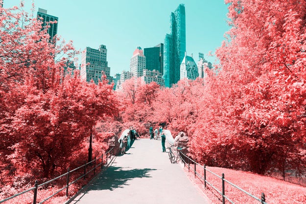 "Infared Photos Transform NYC Into Technicolor Dreamland" —Wired