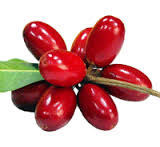 MIRACLE FRUIT