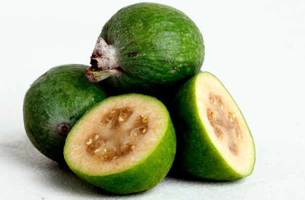 FEIJOA