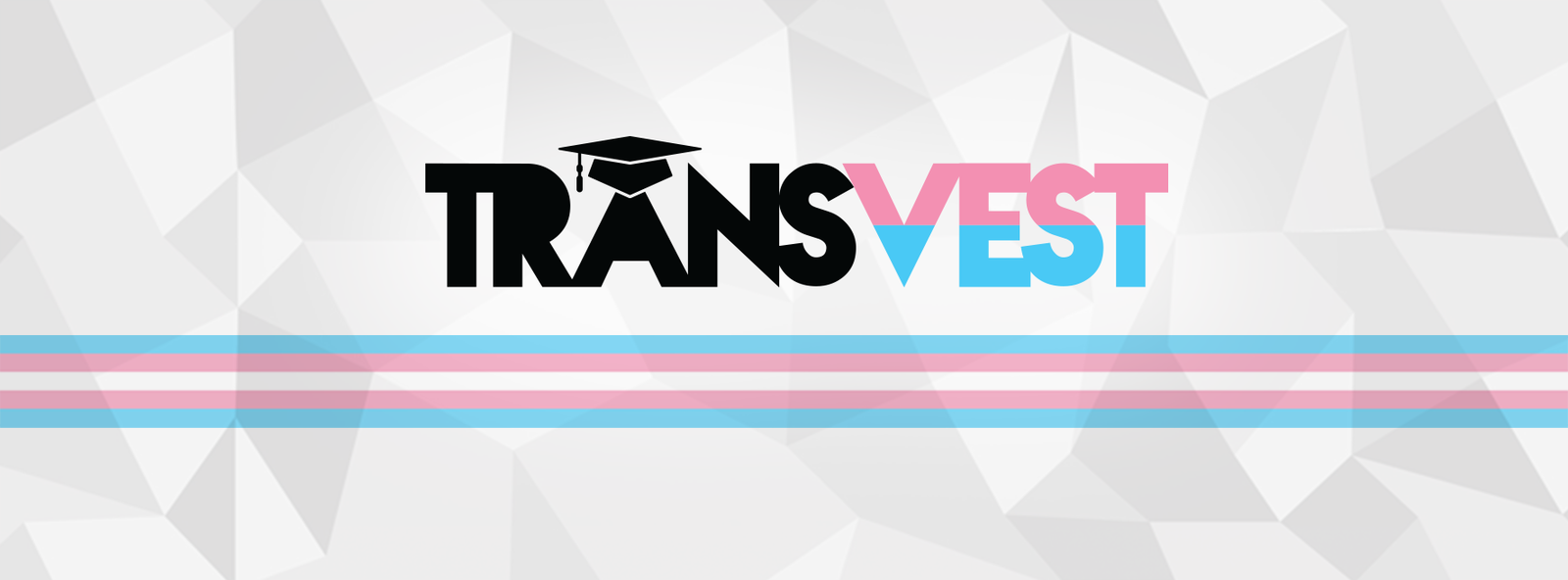 Uma das iniciativas criadas para capacitação e qualificação de transgêneros é o TransVest de Belo Horizonte, que prepara os/as jovens para prestar vestibular.