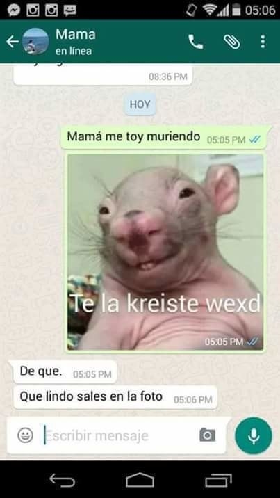 20 Imagenes Que Te Haran Decir Te La Creiste We Xd