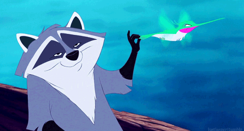 Meeko from Pocahontas