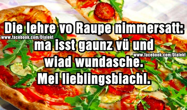 27 Sprüche, über die wirklich nur echte Österreicher lachen können