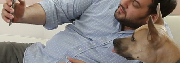 dog selfie tennis ball