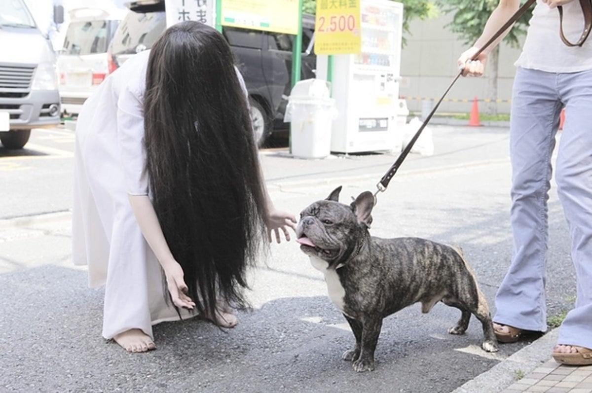 貞子のタレント化が止まらない 一体なぜ 担当者に聞いた 貞子のタレント化が止まらない 一体なぜ 担当者に聞いた