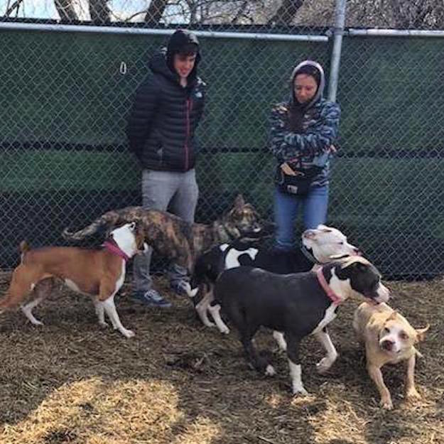 NFL Player Ronnie Stanley Adopts Dog Nobody Else Wanted - The Dodo