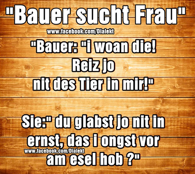 27 Sprüche, über die wirklich nur echte Österreicher lachen können