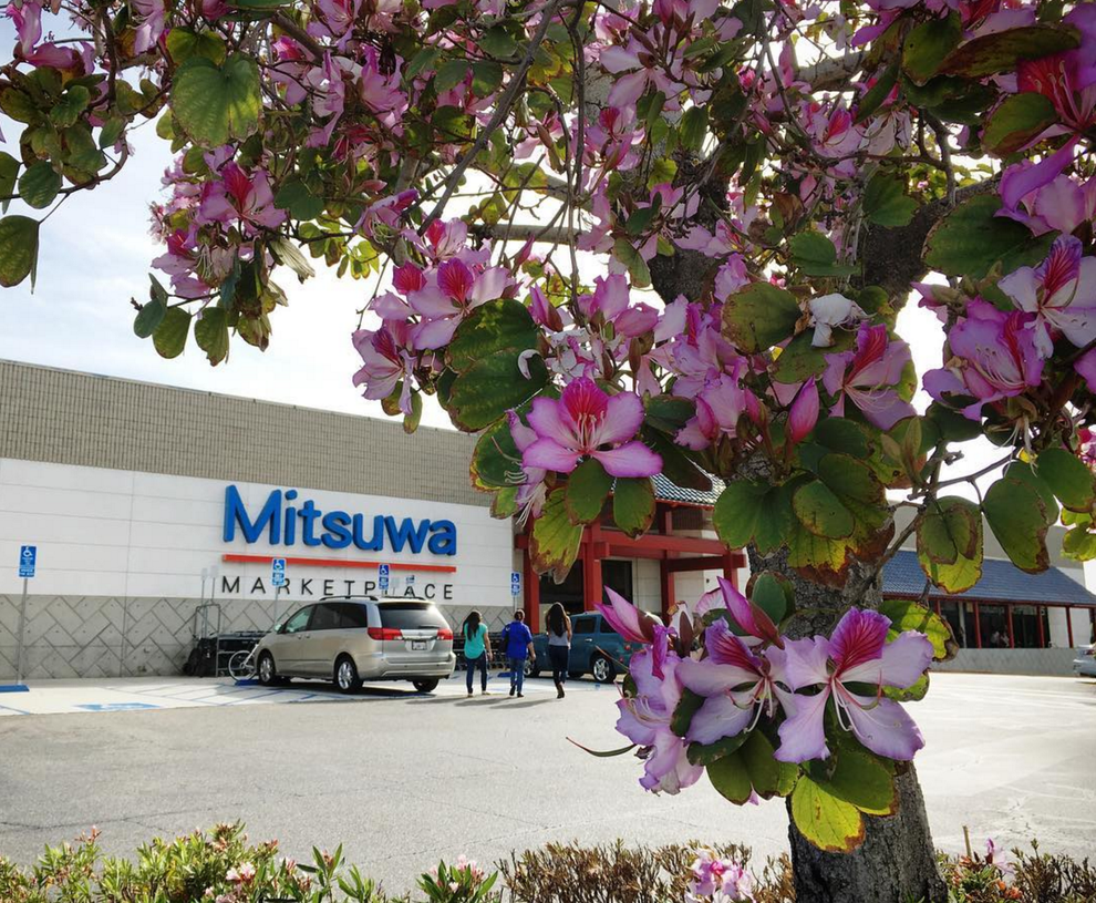21 Reasons Why Mitsuwa Is The Japanese Supermarket Your Heart Craves