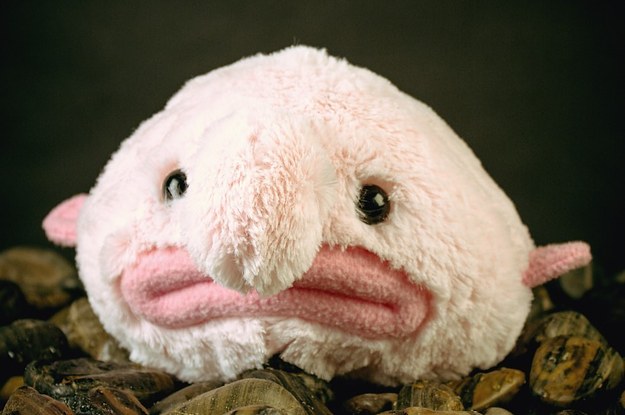 funniest stuffed animals