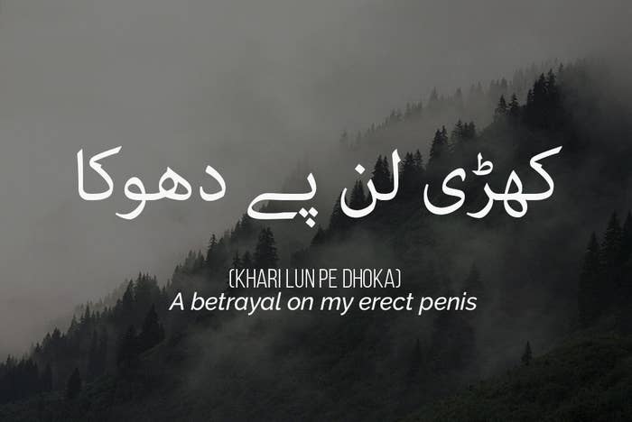 12 Urdu Insults The English Language Needs
